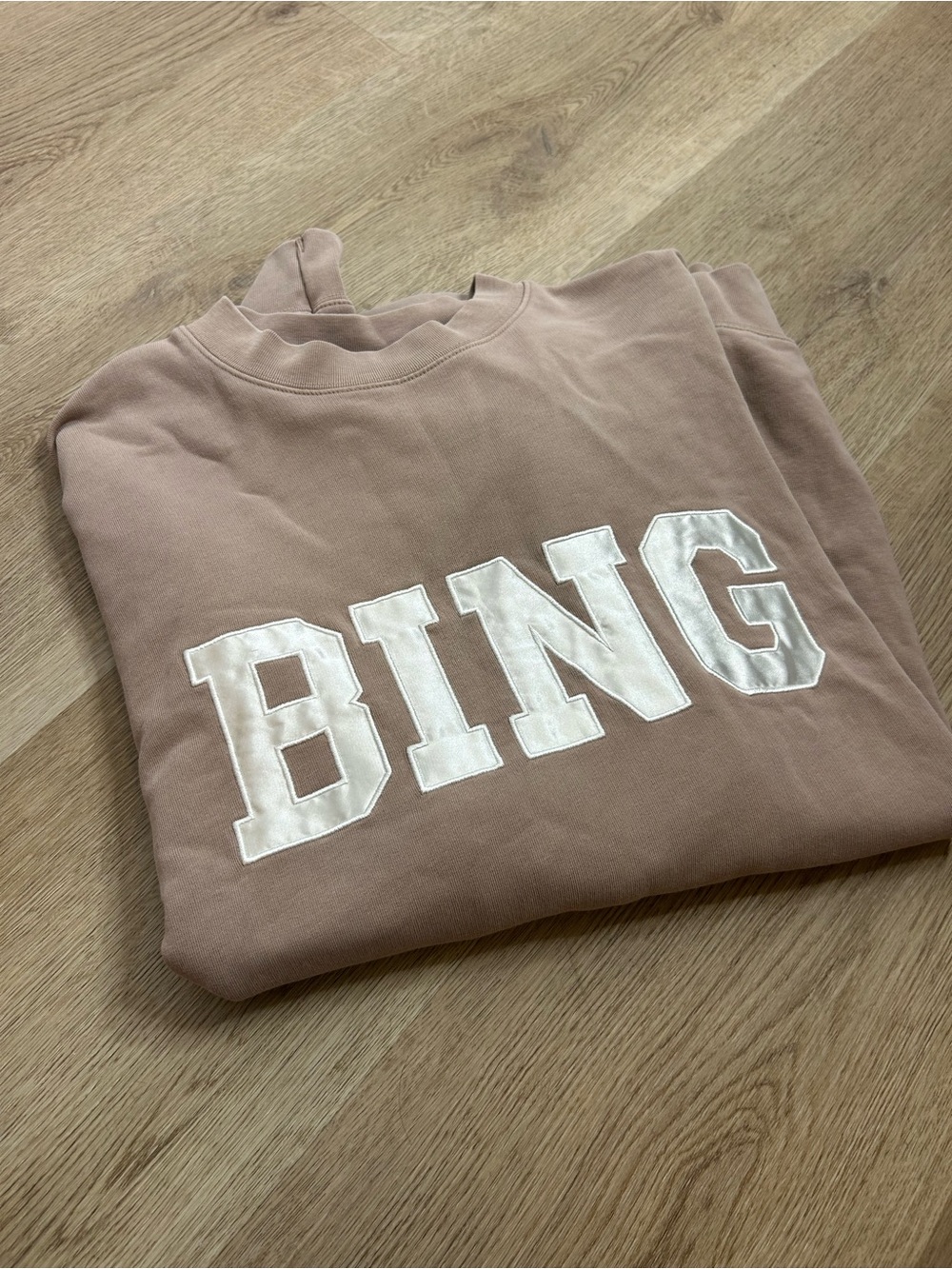 Anine Bing 100% Cotton Oversized Tyler 'BING' Spellout Sweatshirt in Tan - Picture 3 of 16